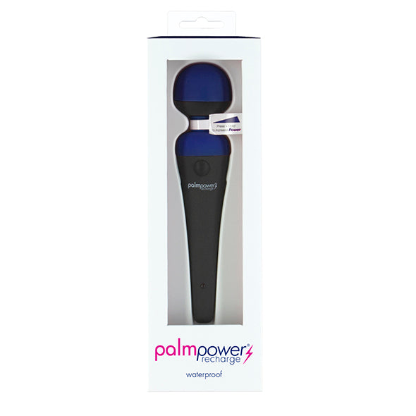 PalmPower - Recharge Wand Massager Blue - FeelGoodStore UK