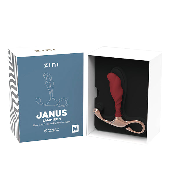 Zini - JANUS Lamp Iron (M) Bordeaux - FeelGoodStore UK