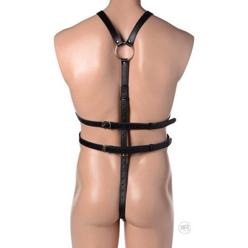 Body Harness