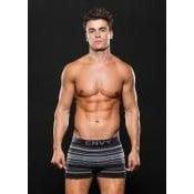 Envy SEAMLESS TRUNK STRIPES W/ LOGO Grey M/L