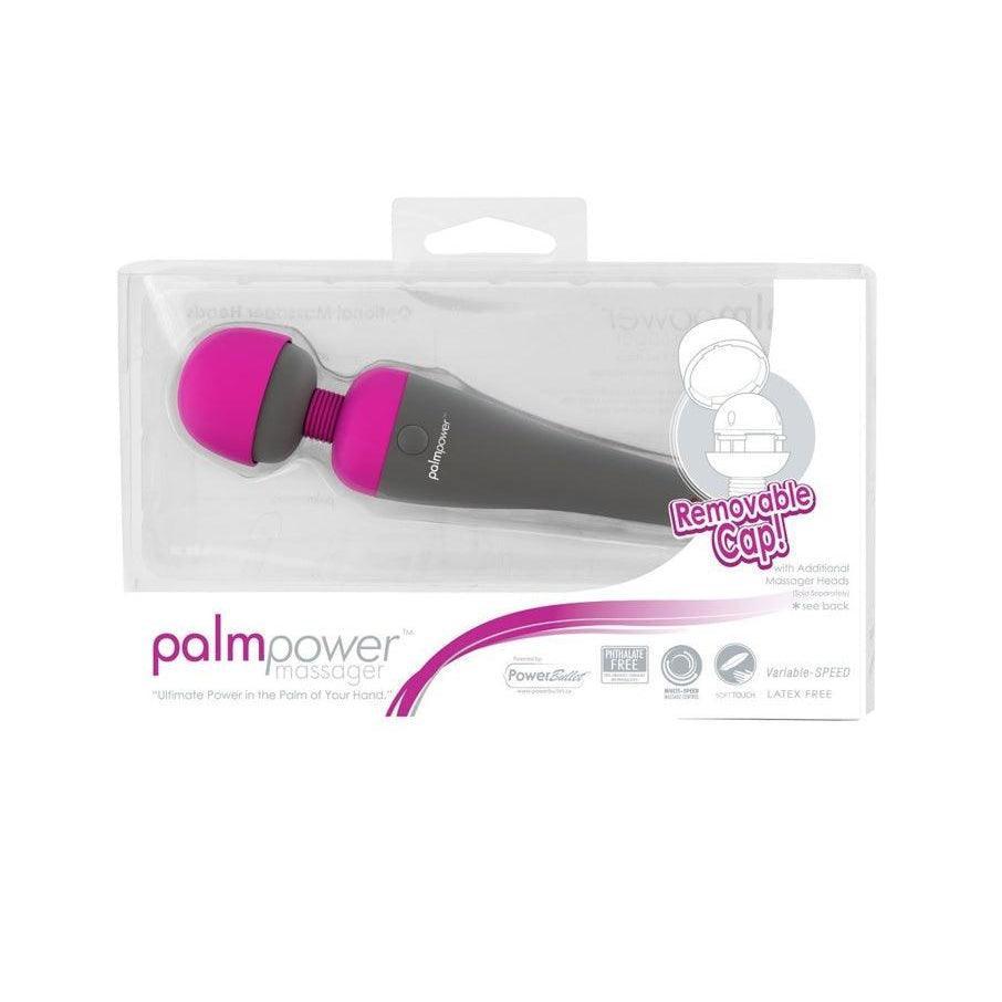 Palm Power Massager With Multi Plugs