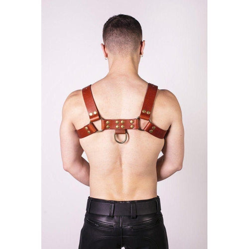 Prowler RED Butch Harness Brown/Brass Small